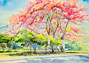 Original painting landscape colorful of wild himalayan cherry flower tree