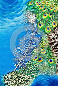 Original painting of peacock feathers