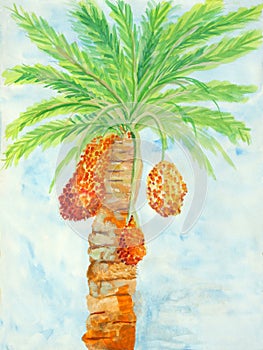 Original painting of reddish brown ripen dates