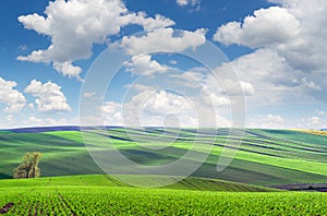 Original panoramic view of fields in beautiful rolling and strip photo