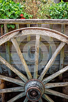 Original and rustic flower pot in the countryside