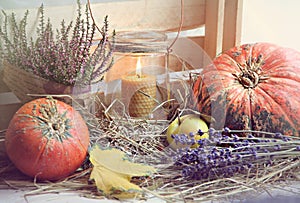 An original still life of Russia with the fire of a wax candle. Wax candle with pumpkin, apples and heather in the hay. Autumn sti