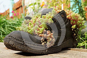 Original street planters, boots with the plant