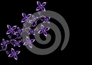 Original template with purple glass flowers on a black background.