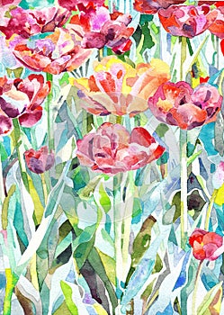 Original watercolor painting of summer, spring