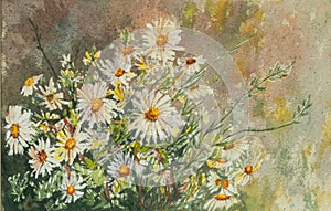 Original Watercolor Painting of Wild Flowers