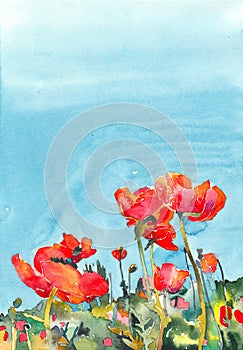 Original watercolor poppy flower background