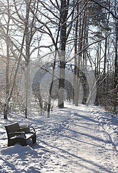 Original winter still life.