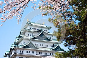 Sakura Nagoya Castle photo