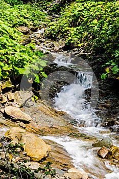 The origins of the mountain river