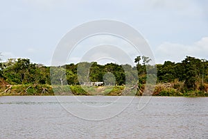 Orinoco Delta photo
