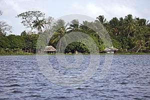 ORINOCO DELTA IN VENEZUELA WITH HOUSE ON PILE