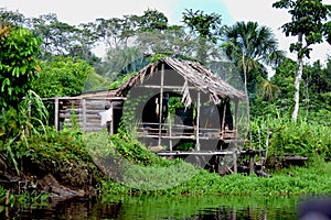 Orinoco life on the river