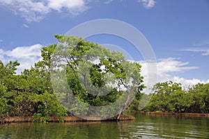 Orinoco River