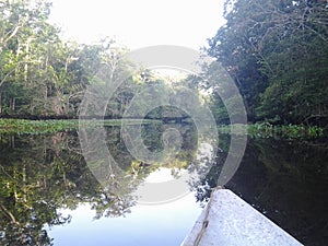 Orinoco river delta in Amazon