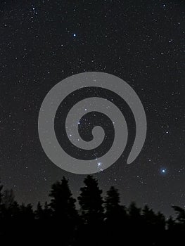 Night sky stars, Orion constellation