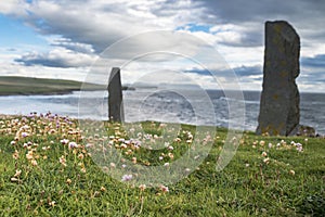 Orkney islands panorama