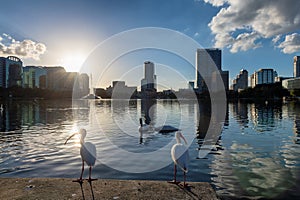 Orlando city skyline at sunset with fountain and cityscape, Florida, USA