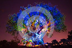 Panoramic view of Illuminated Tree of Life on blue night background at  Animal Kingdom in Walt Disney World area 1