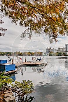 ORLANDO, FLORIDA, USA - DECEMBER, 2018: Eola Lake Park, popular destination for festivals, concerts, fundraising walks and even