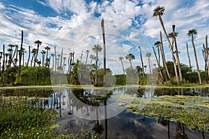 Orlando Wetlands