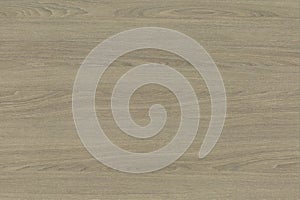 Orleans Sandy Solid Oak Texture