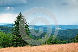 Orlicke mountains in summer