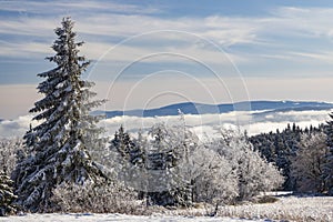 Orlicke Mountains in winter, Czech Republic