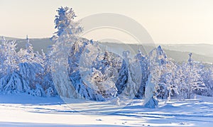 Orlicke Mountains in winter, Czech Republic