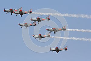 ORLIK Polish Air Display Team