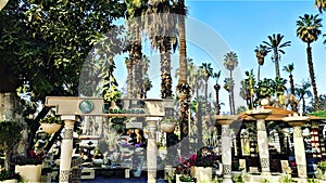 Orman Botanic Garden in Giza