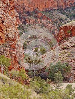 The Ormiston gorge in the Mcdonnell ranges