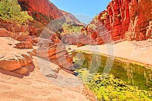 Ormiston Gorge Pound Walk