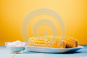 ÃÂ¡orn with salt. Selective focus and copy space. Yellow corn in a white bowl and salt glass on yellow background