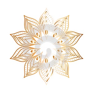 Ornament in flower shaped with feathers gold vector design