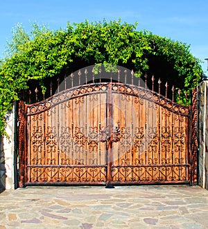 Ornament forged big iron garden gate