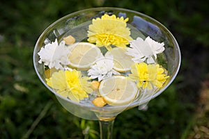 Ornament with lemon and flowers