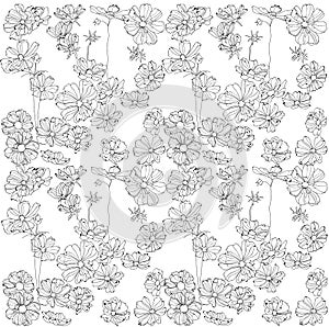 Ornament pattern gentle black and white flowers