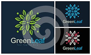 ornament pattern green leaf colourful set modern luxury art and craft logo template design