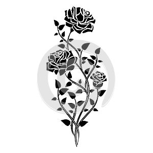 Ornament of roses. Decorative Floral design elements. Vector