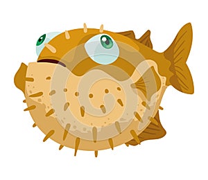 ornamental blowfish swiming