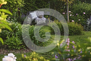 ornamental cottage garden view in summer. Relax area with wooden bench