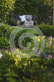 ornamental cottage garden view in summer. Relax area with wooden bench