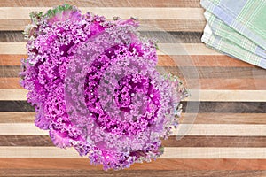 Ornamental curly-leaf purple kale