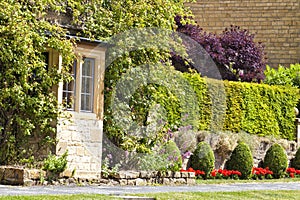 Ornamental evergreen hedge on stone wall