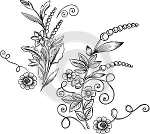 Ornamental Floral Vector Illustration