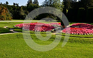 Ornamental flower bed in front of the castle on the ground floor. Planting annuals has the shape of a circle or strips bordered by