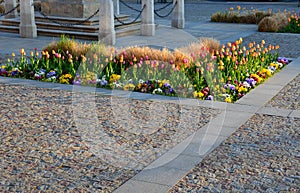 Ornamental flower beds on a regular floor plan in the middle of a square made of granite paving. L shaped flower beds with dry orn