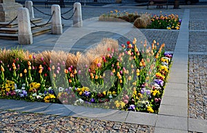 Ornamental flower beds on a regular floor plan in the middle of a square made of granite paving. L shaped flower beds with dry orn