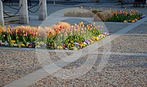 Ornamental flower beds on a regular floor plan in the middle of a square made of granite paving. L shaped flower beds with dry orn